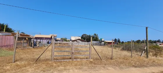 Sitio Con Rol Propio En La Ballena