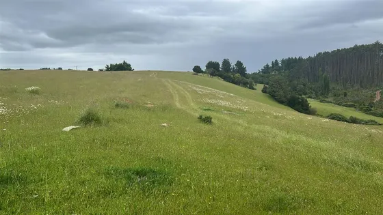 Agrícola En Venta En San Juan De La Costa