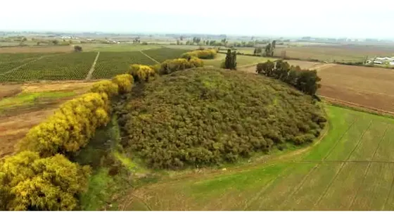 Parcela Agrícolas 15 Ha. - Excelente Oportunidad