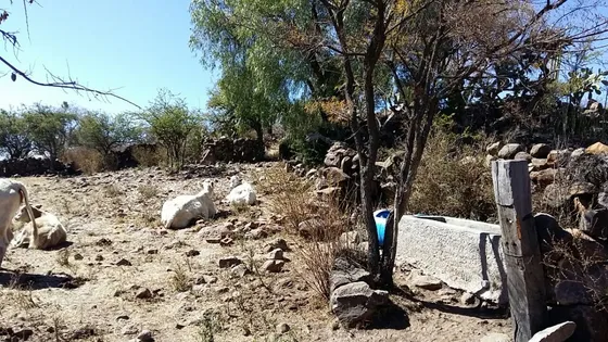 Rancho En Venta En Jerecuaro Guanajuato
