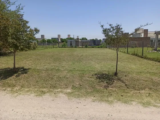 Almafuerte-tierras Del Fundador - Con Proyecto Aprobado Y Servicios
