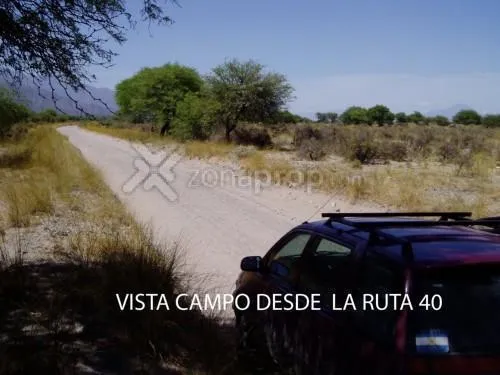  2.250 Ha Tierras Para Viñedos R. 40 -tafí -tucuman