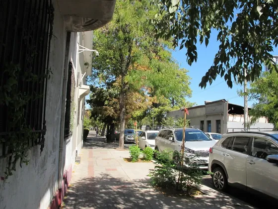 Arriendo Depto Estilo Antiguo Providencia Bellavista