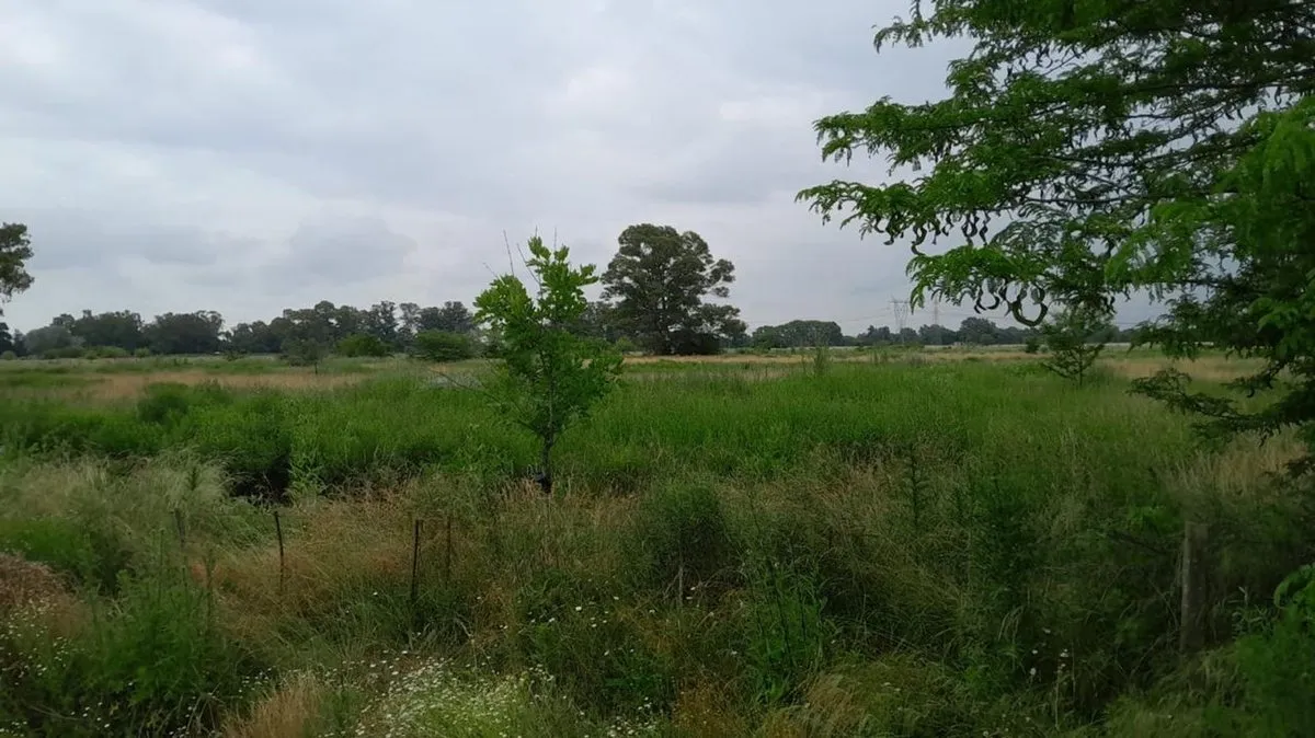 Sale of a 38,250 m² Lot
