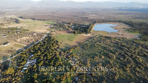 Increible Campo De 5,5 Ha. En Catapilco