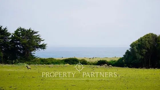 Pichilemu, ¨precioso Terreno Rural En El Pangal
