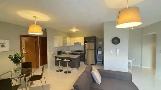 Alquiler Y Venta  Apartamento Amueblado En Gazcue Próximo A Unión Europea