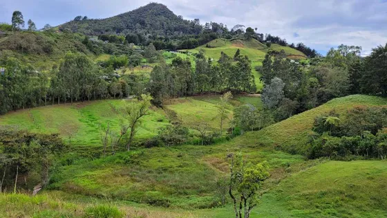 Venta De Terreno Con 3 Matriculas Ubicado En Rionegro El Higuerón
