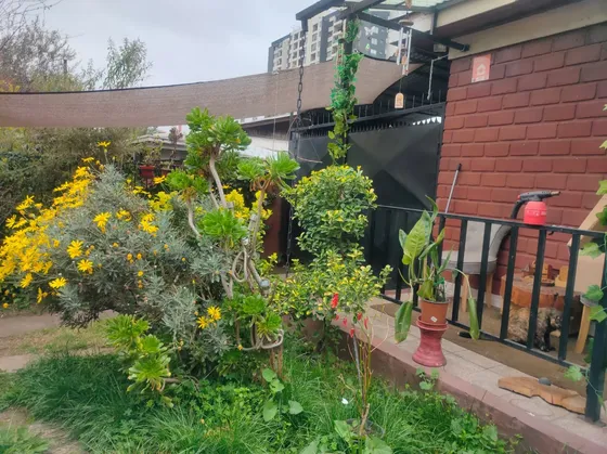 Casa 3d 2b En Nueva Villa Macul Amplio Terreno 160 M2