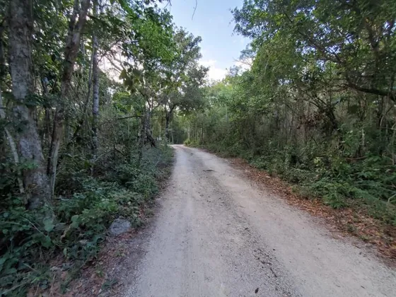 Terreno En Venta En Akumal