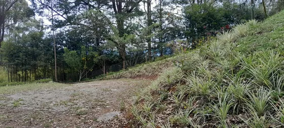 Lote En Venta En El Carmen De Viboral, Antioquia. 