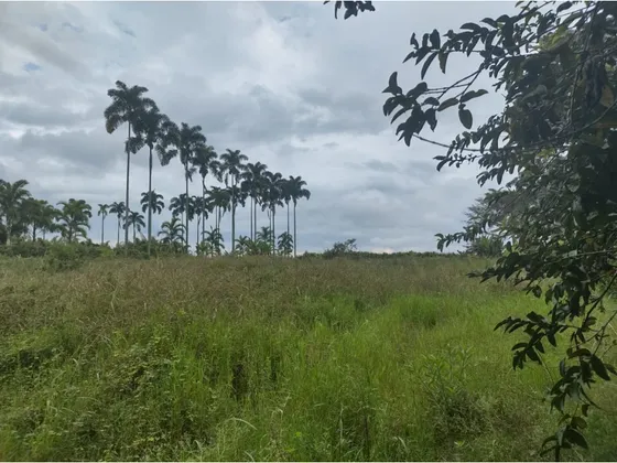 Venta De Lote Cerritos Pereira