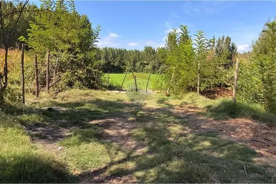 Venta Terreno Agrícola, Coltauco
