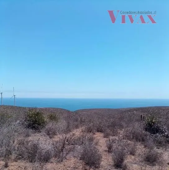 Terreno 20 Ha Subdivisible, Agua Y Energía Venta En Canela