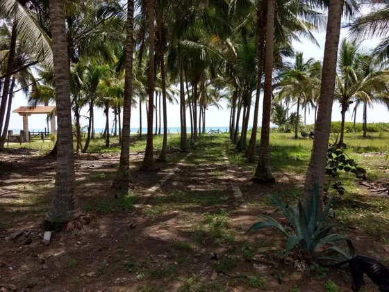 Venta Rancho 100 Hectáreas Casa Playa Tamiahua Veracruz