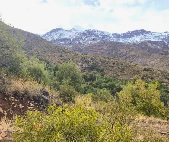 Parcela Con Vista Privilegiada A La Cordillera