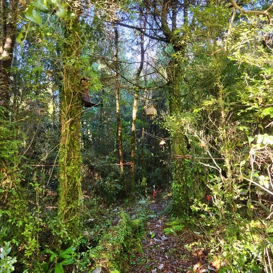 Oportunidad. Parcela A 25 Min De Puerto Varas Y Puerto Montt