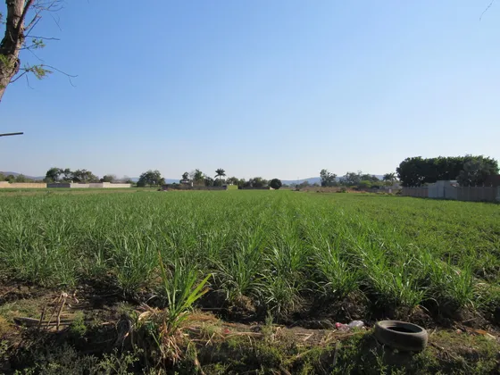 Terreno En Venta En Yautepec, Morelos.