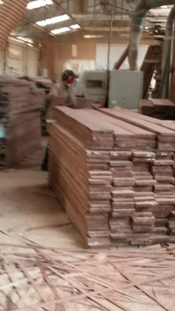 Instalación De Pisos De Madera Pulido Sin Polvo Piso Flotant