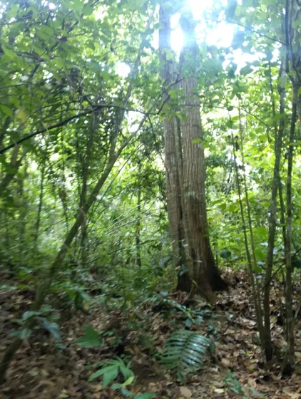 Venta De Terreno 10 Hectareas Y Media