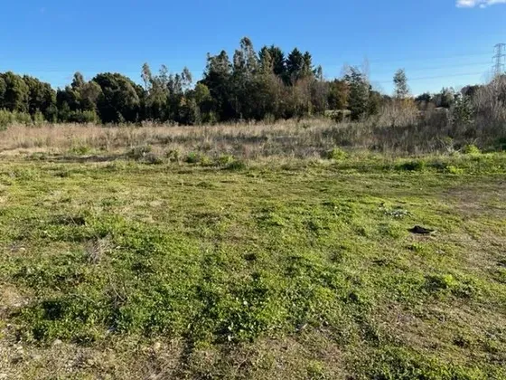 Agrícola En Venta En Valdivia