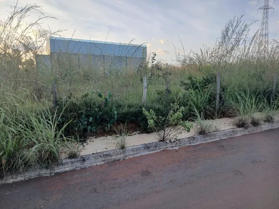 Terreno Jardim Luzitano Anapolis