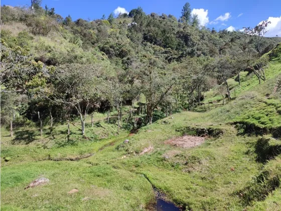 Lote En  Venta El Retiro Sector El Chuscal 5,000 M2
