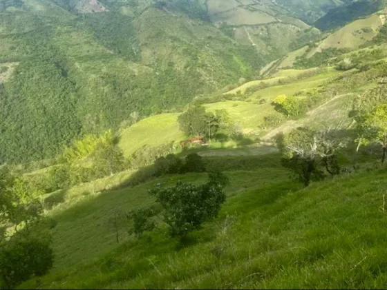 ¡finca De Gran Extension Para Ganaderia En Aguadas, Caldas!