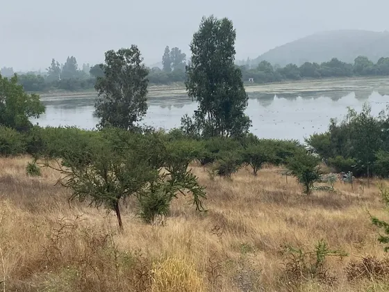 Parcelas Con Hermosa Vista En Tranque Collague, El Melón