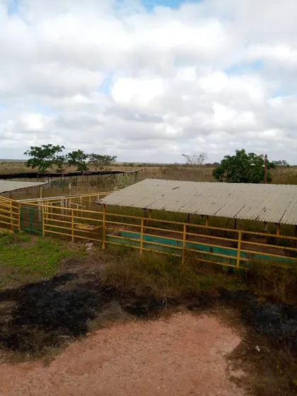 Re/max Abba Ofrece En Venta Finca De 280 Hectáreas Ubicada En El Tigre, Edo Anzoategui 