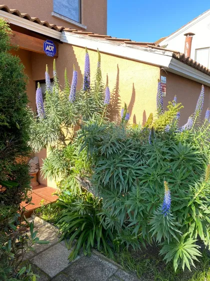 Excelente Casa En Arriendo Año Corrido, A Pasos De La Playa