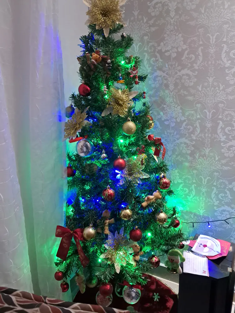 Foto do produto compartilhada pelo comprador 5 de 8