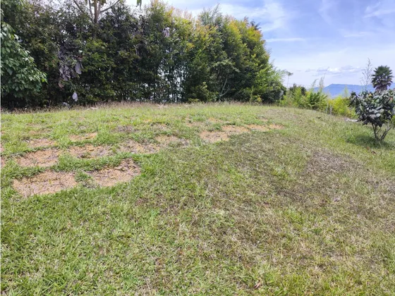 Lote En Guarne Vereda La Clara 