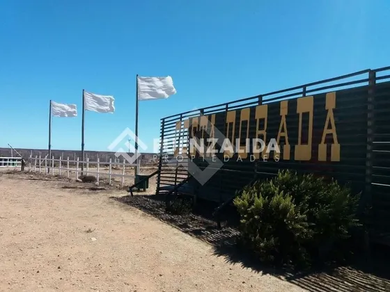 Vende! Terreno 5.000 M2, Cercano A La Serena, Ovalle.