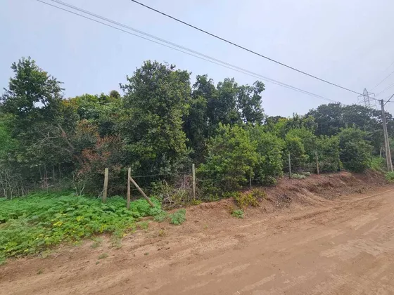 Oportunidad De Inversión En Mantagua