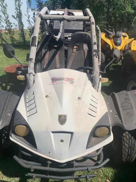 Buginho 2018 110 Cc