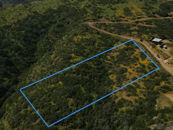 Venta De Parcela En Condominio Reserva Puro Caballo