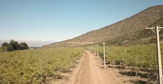 Lotes De 5000m2-punta De Cortes- Rancagua