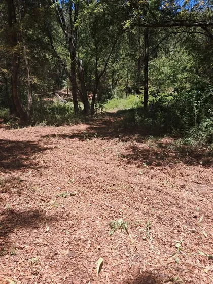 Terreno En Bosque Nativo, Parque Nacional Radal Siete Tazas