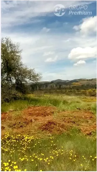 Parcela En Arriendo En San Javier