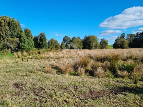 Parcela En Venta En Llanquihue