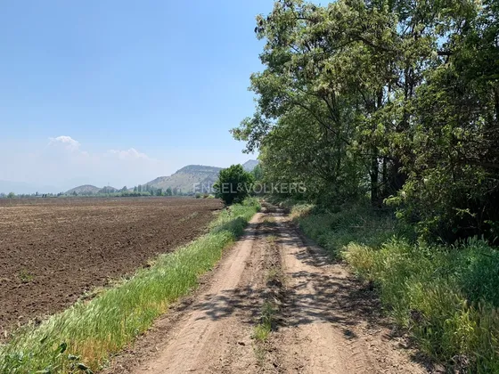 Espectacular Terreno De 5 Hectáreas, Borde De Calle