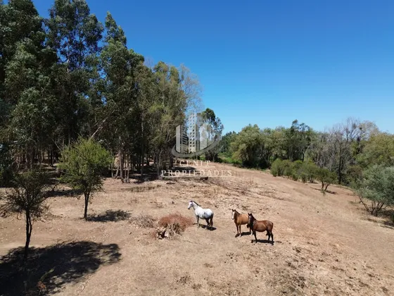 Parcela En Venta Pelarco, 20 Min De Talca