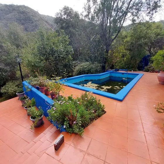 Venta Parcela De 5.000 M2 Con Linda Casa Y Precioso Jardín