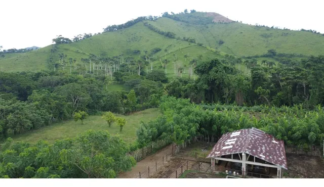 Te Vendo Finca De Oportunidad En El (seibo). 1,050 Tareas.