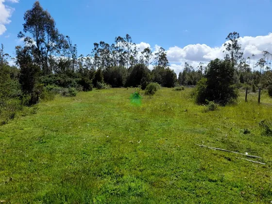 Agrícola En Venta En Castro