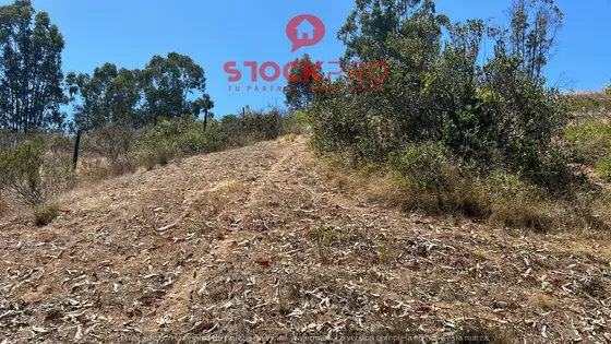 Parcela El Terron 6400mts2, Camino Del Medio Algarrobo