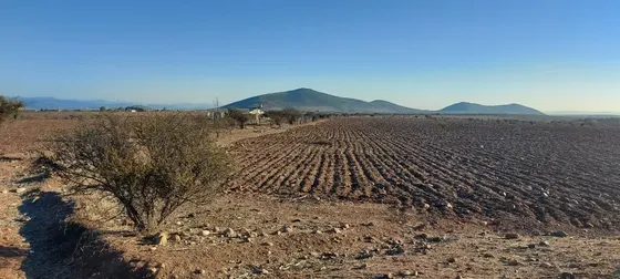Ovalle Campolindo 50 Has 26 Accciones Y Tres Pozos Agua