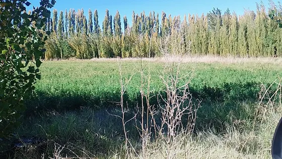 Venta De Chacra En Senillosa