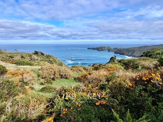 Sitio En Venta En Los Muermos
